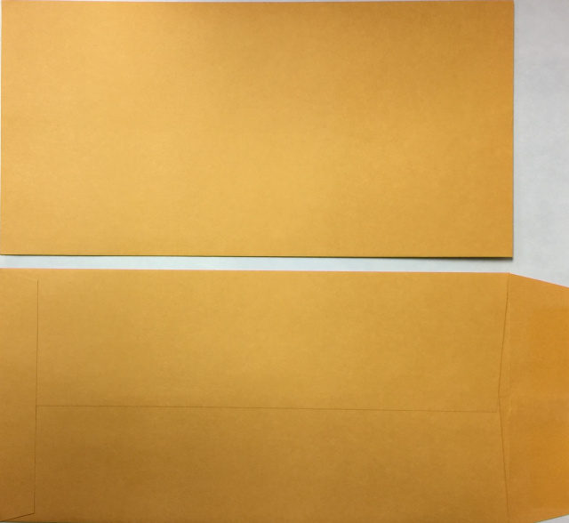 License Plate Envelopes-Blank Moist and Seal
